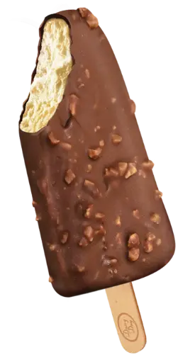 CHOCO NUTTY BAR